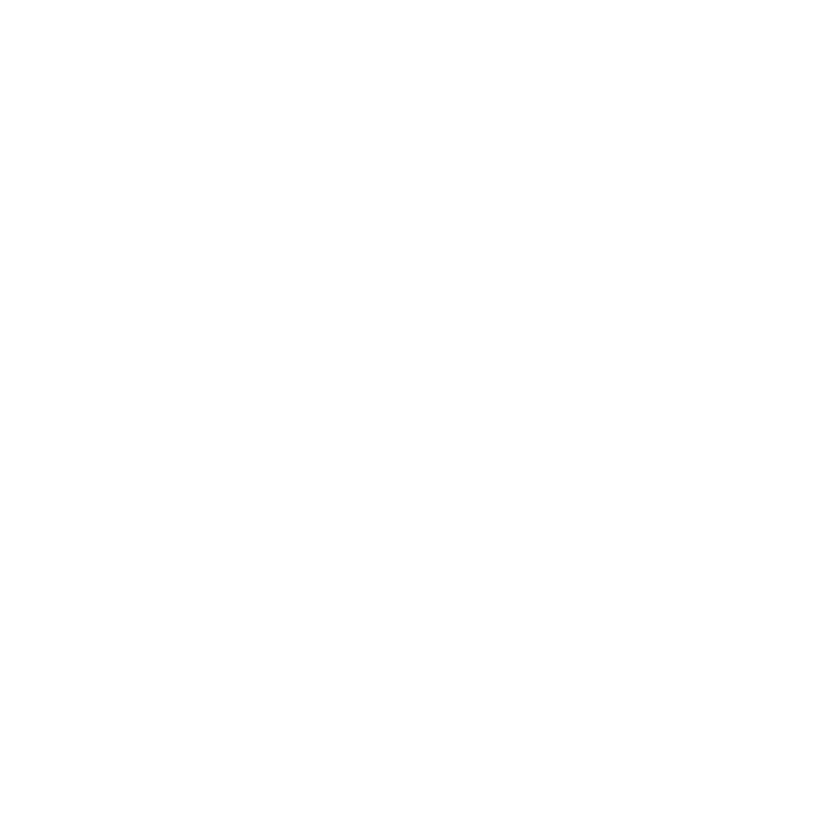 Top South Logo